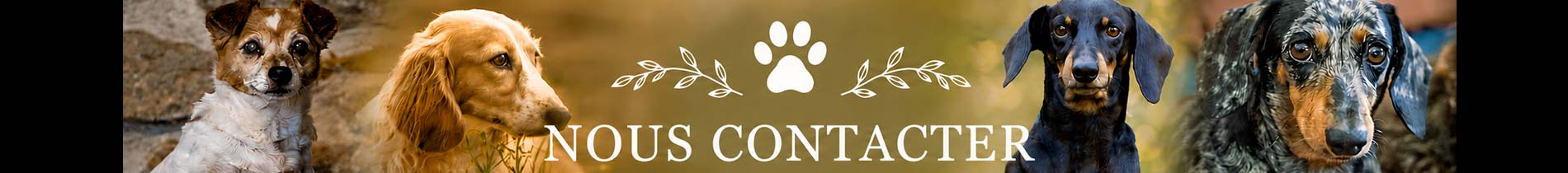 nous-contacter